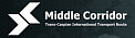 ИнкоМеждународная Ассоциация Транскаспийский Международный Транспортный Маршрут гнито